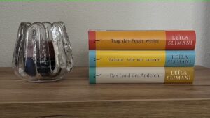 Das Land der Anderen Trilogie von Leïla Slimani