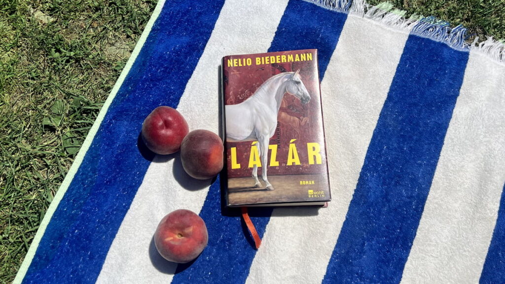 Nelio Biedermann Lazar Rezension