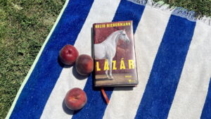 Nelio Biedermann Lazar Rezension